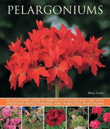 Pelargoniums by Blaise Cooke 9781780192734