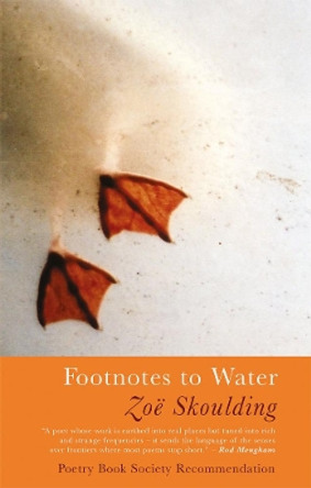 Footnotes to Water by Zoe Skoulding 9781781725269