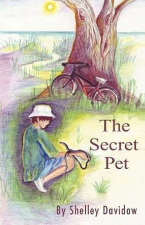 The Secret Pet by Shelley Davidow 9781931061421