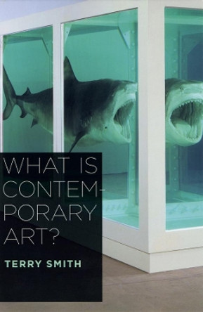 What is Contemporary Art? by Terry Smith 9780226764313