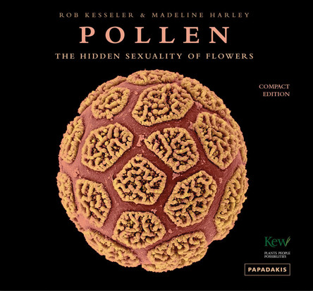 Pollen: The Hidden Sexuality of Flowers Rob Kesseler 9781906506513