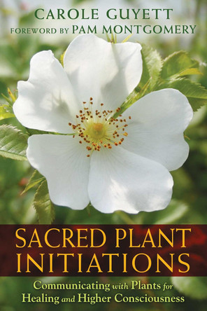 Sacred Plant Initiations: Communicating with Plants for Healing and Higher Consciousness by Carole Guyett 9781591432135