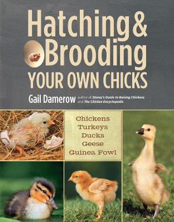Hatching and Brooding Your Own Chicks by Gail Damerow 9781612120140