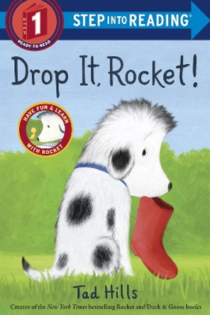 Drop It, Rocket! by Tad Hills 9780385372541