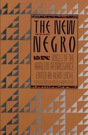 The New Negro by Alain Locke 9780684838311