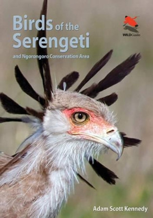 Birds of the Serengeti: And Ngorongoro Conservation Area by Adam Scott Kennedy 9780691159102