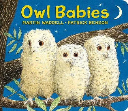 Owl Babies Lap-Size Board Book by Martin Waddell 9780763695200