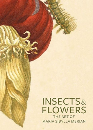 Insects and Flowers - The Art of Maria Sibylla Merian by David Brafman 9780892369294
