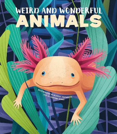 Weird and Wonderful Animals by Cristina Banfi 9788854415270
