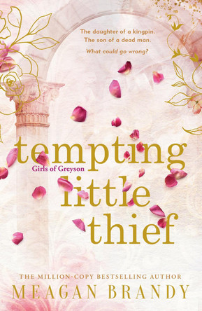 Tempting Little Thief: TikTok made me buy it! The spicy and addictive new romance from a million-copy bestselling author by Meagan Brandy 9781398719538
