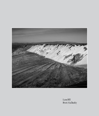 Landfill: Elegy for the Santa Maria Valley by Brett Kallusky 9781938086878