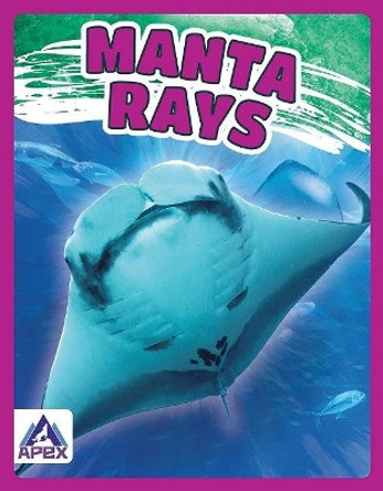 Manta Rays by Angela Lim 9781637380420