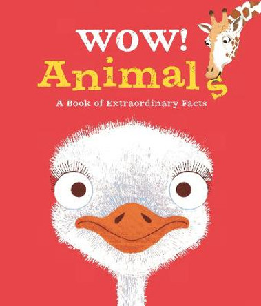 Wow! Animals by Jacqueline McCann