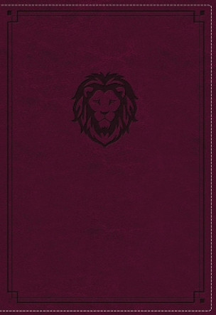 NKJV, Thinline Bible Youth Edition, Leathersoft, Purple, Red Letter Edition, Comfort Print: Holy Bible, New King James Version by Thomas Nelson 9780785225706