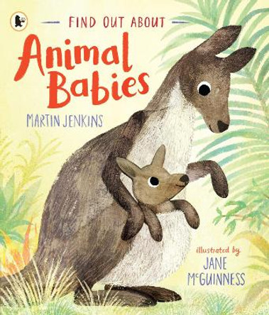 Find Out About ... Animal Babies by Martin Jenkins 9781529503838