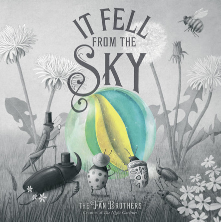 It Fell From The Sky by Terry Fan 9780711270664