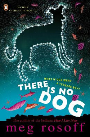 There Is No Dog by Meg Rosoff