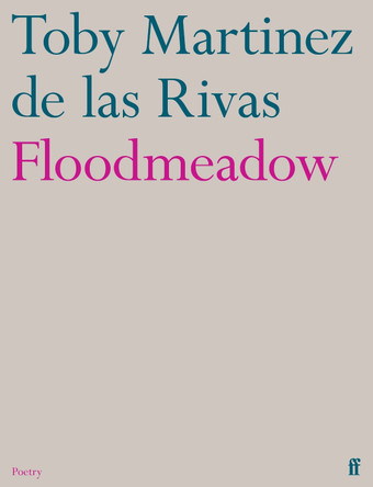 Floodmeadow by Toby Martinez de las Rivas 9780571376438