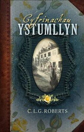 Cyfrinachau Ystumllyn by Catherine L. G. Roberts 9781913996628