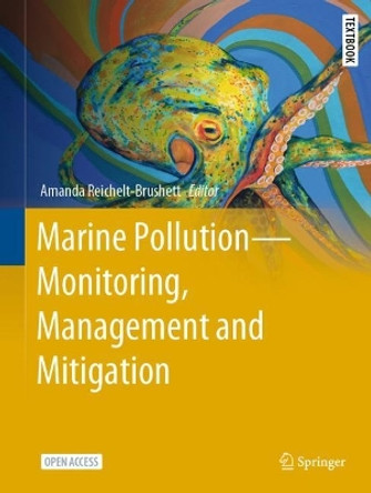 Marine Pollution – Monitoring, Management and Mitigation by Amanda Reichelt-Brushett 9783031101267