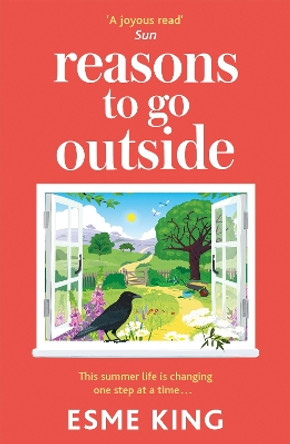 Reasons To Go Outside: an uplifting, heartwarming novel about unexpected friendship and bravery by Esme King 9781529362862