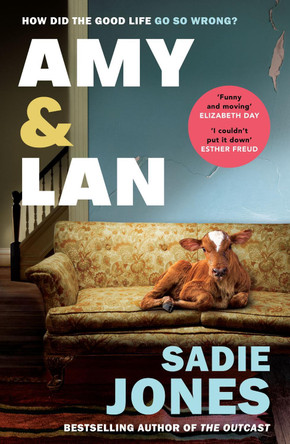 Amy and Lan: The enchanting new novel from the Sunday Times bestselling author of The Outcast by Sadie Jones 9781529116175