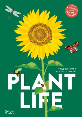 Plant Life by Hélène Druvert 9780500653272