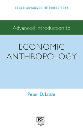 Advanced Introduction to Economic Anthropology by Peter D. Little 9781789902723