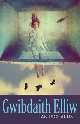 Gwibdaith Elliw by Ian Richards 9781913996727