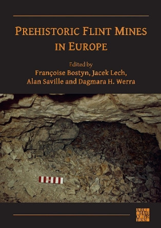 Prehistoric Flint Mines in Europe by Françoise Bostyn 9781803272214