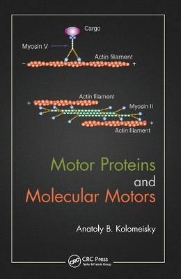 Motor Proteins and Molecular Motors by Anatoly B. Kolomeisky 9780367575762