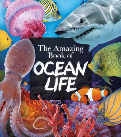 The Amazing Book of Ocean Life by Claudia Martin 9781839408137