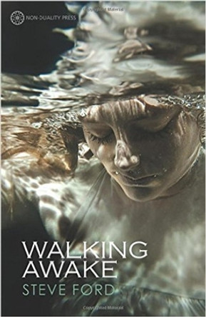 Walking Awake by Steve Ford 9781908664440