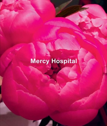Ida Applebroog - Mercy Hospital by Jo Applin 9781942607595