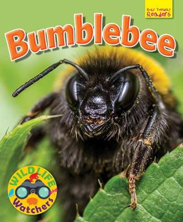 Wildlife Watchers: Bumblebee: 2017 by Ruth Owen 9781911341222