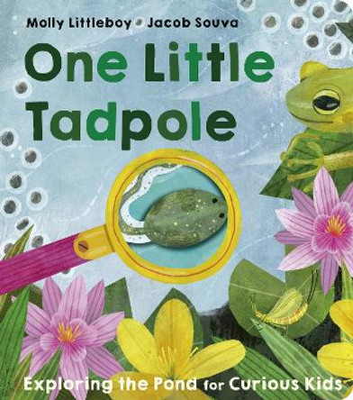 One Little Tadpole by Molly Littleboy 9781801044349