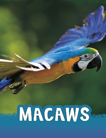 Macaws by Jaclyn Jaycox 9781398213142