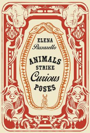 Animals Strike Curious Poses by Elena Passarello 9781956046182