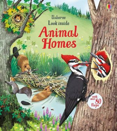 Look Inside Animal Homes by Emily Bone