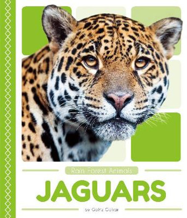 Rain Forest Animals: Jaguars by Golriz Golkar 9781635178227