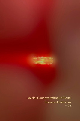 Aerial Concave Without Cloud by Sueyeun Juliette Lee 9781643621166