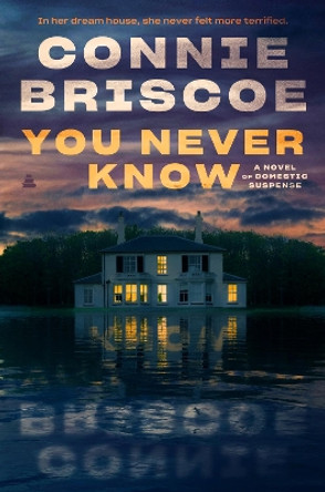 You Never Know: A Novel of Domestic Suspense by Connie Briscoe 9780063246584