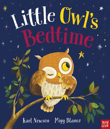 Little Owl's Bedtime by Karl Newson 9781839948893