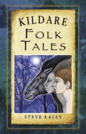 Kildare Folk Tales by Steve Lally 9781845888107