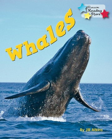 Whales by Jill Atkins 9781781278420