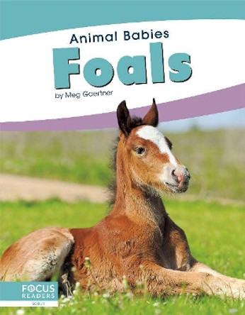 Animal Babies: Foals by Meg Gaertner 9781641857475
