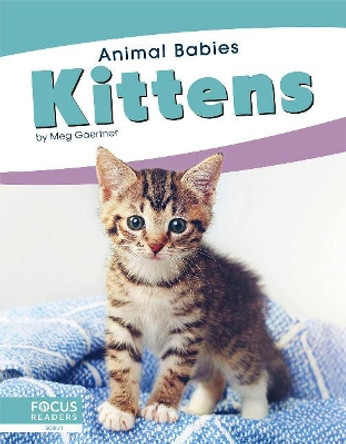 Animal Babies: Kittens by Meg Gaertner 9781641857482