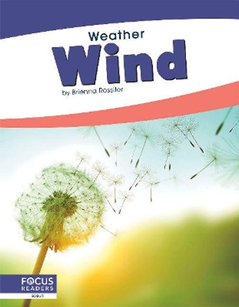 Weather: Wind by ,Brienna Rossiter 9781641858632