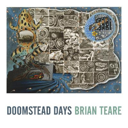 Doomstead Days by Brian Teare 9781643620022