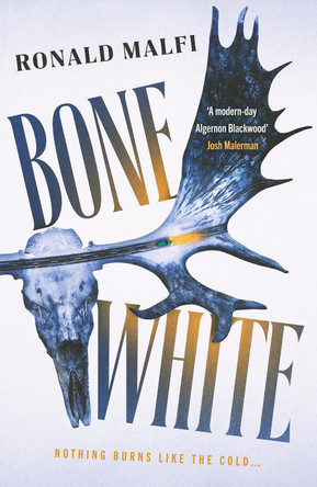 Bone White: A gripping suspenseful horror thriller by Ronald Malfi 9781804366738